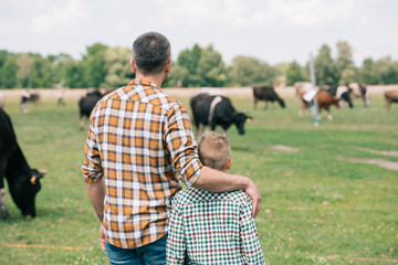 Father Son looking over cattle