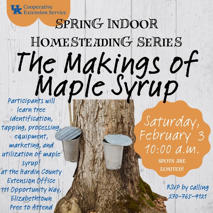 Learn how Maple Syrup is made