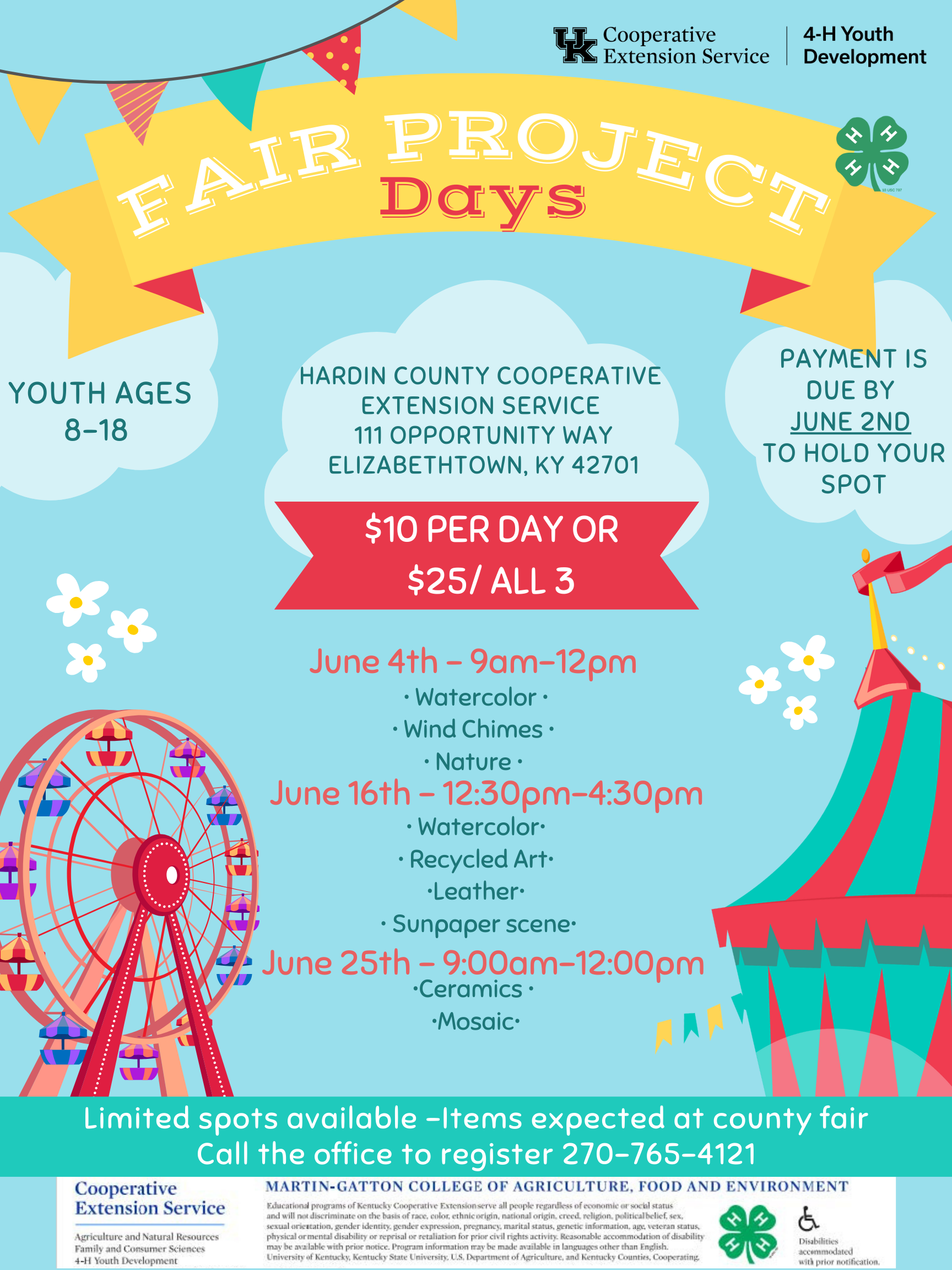 fair project day flyer