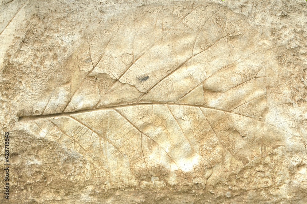Leaf Casting