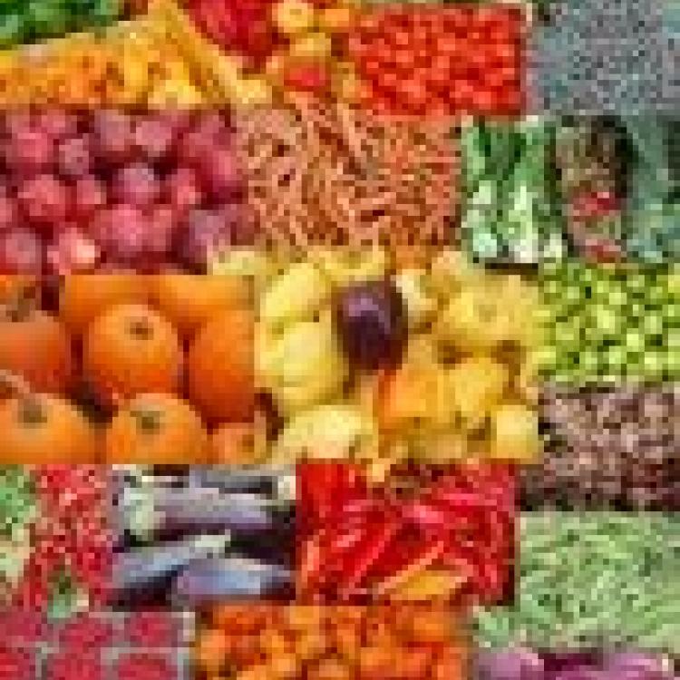  various fruits and vegetables